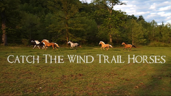 catchthewind55003001.jpg